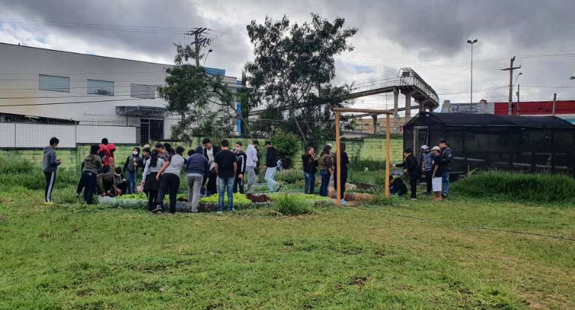 Instituto realiza projeto lúdico usando horta em escola no interior de SP